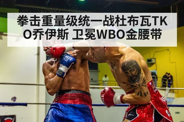 拳击重量级统一战杜布瓦TKO乔伊斯 卫冕WBO金腰带